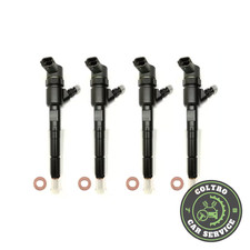 Iniettore Diesel Bosch Fiat Grande Punto Evo 1.3 Multijet 0445110183 Opel  NUOVO