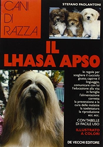 Lhasa apso paolantoni - paolantoni, s