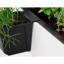 Vaso per Piante 10cm Euro