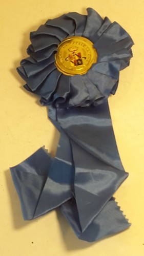 Coccarda militare scuola - coccarda,