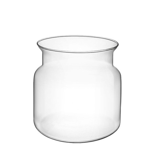 Terrario bottle garden - bottle, vaso