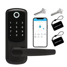 Serratura Porta Smart Nera