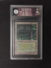MTG | Bayou | FBB | GRAAD 8