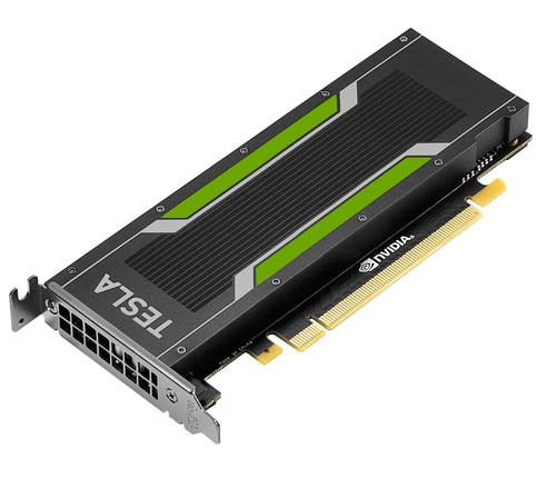 Scheda gpu basso profilo - scheda,
