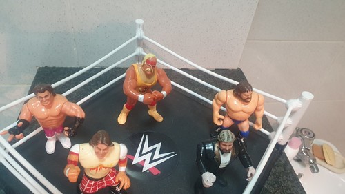 Action figure wwf hasbro - action,