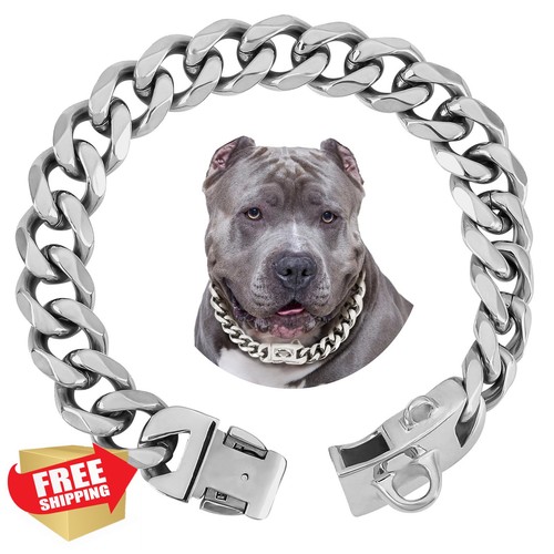 collare pitbull