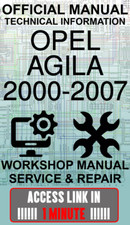 ACCESS LINK MANUALE OFFICINA