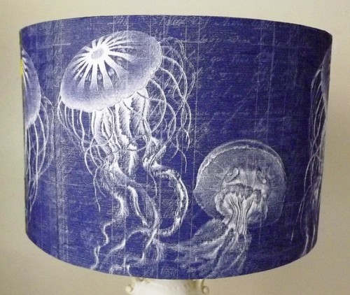 Paralume jelly fish - jelly, fish,