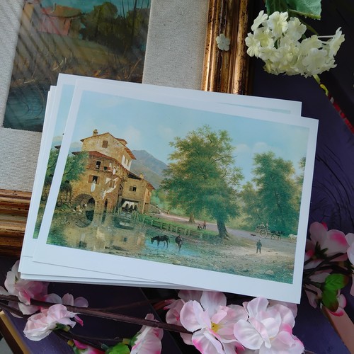 K55 stampa arte canella - ), g.