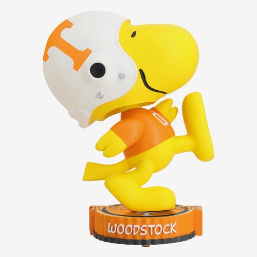 Woodstock tennessee volunteers - woodstock,