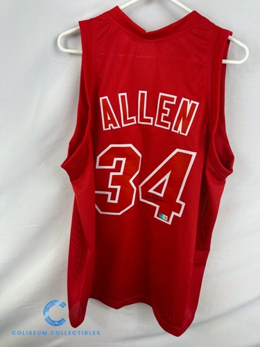 Maglia ray allen - allen, heat