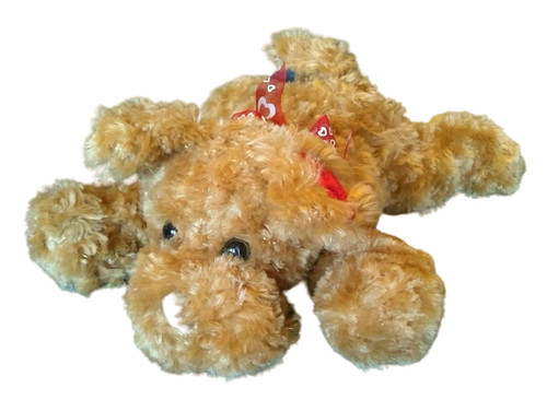 Peluche cane marrone - , bichon