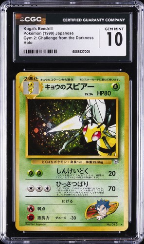 Pokemon palestra giapponese - pokemon,