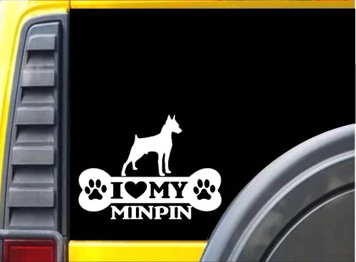 Adesivo minpin bone l103 - l103, 8