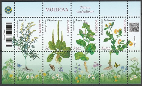 Moldavia 2026 fiori piante - moldavia,