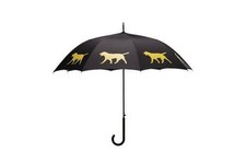 San Francisco Ombrello