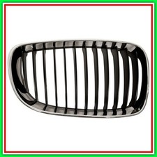 Griglia radiatore destra - griglia,