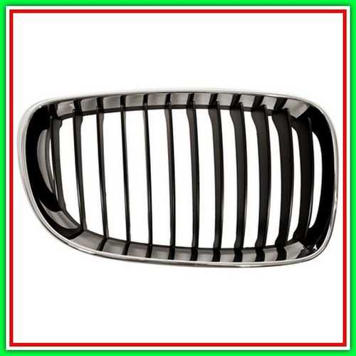 Griglia radiatore destra - griglia,