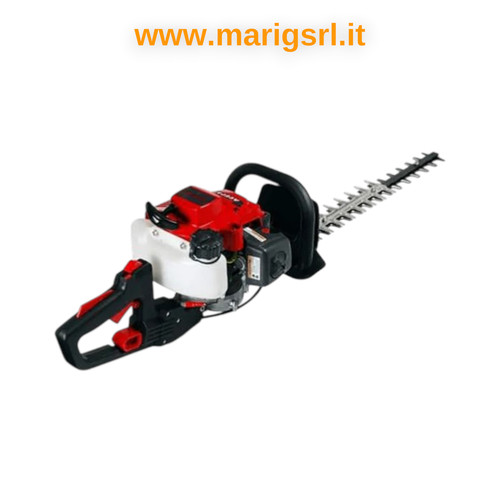 Tagliasiepi scoppio kawasaki - tagliasiepi,