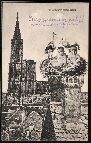 Strasburgo nido di - ak,