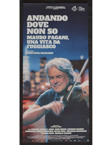 Locandina andando dove non - locandina,