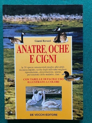 Gianni ravazzi anatre oche e - anatre,