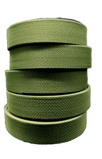 Fettuccia verde alga in