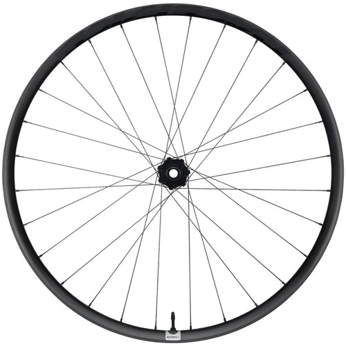 Ruota anteriore era 29 - anteriore,