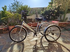 triciclo per adulti