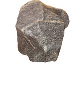 Effigie di mammut indiano