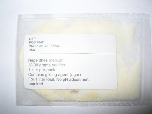 Nepenthes mezzo semina - di, per