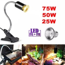 Clip lampada lampadina basking