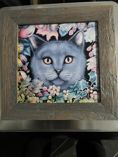 Stampa artistica gatto russo