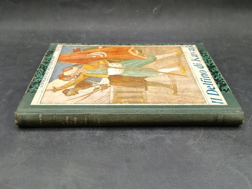 Libro delfino kavak - libro,