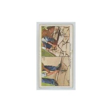 1938 will cigarettes garden - cigarettes,