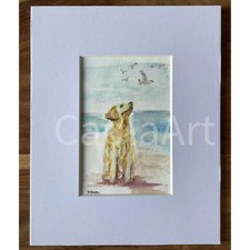 Quadro acquerello originale