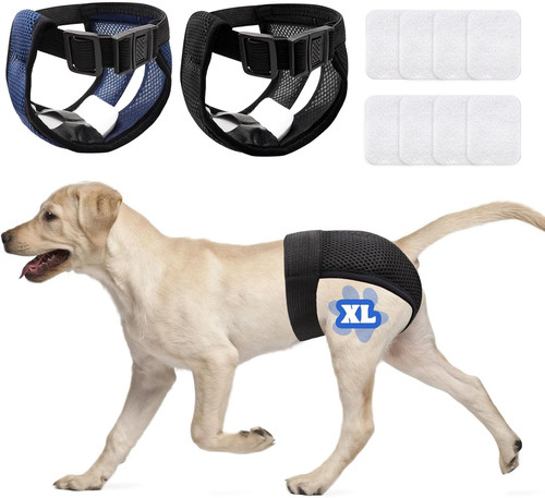 Pezzi pannolini per - pezzi, cani