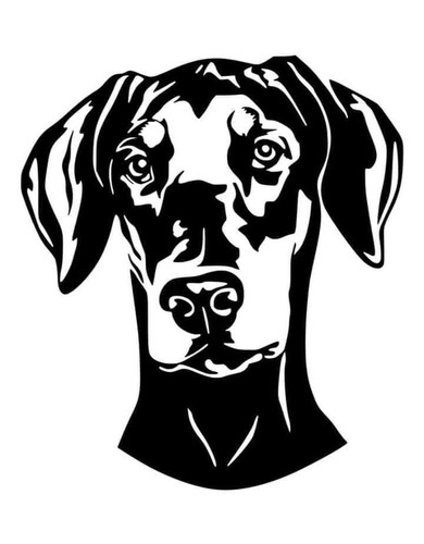 Piccola dobermann vinile - dobermann,