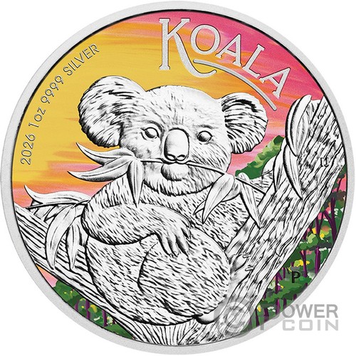 Koala brisbane anda - anda, expo
