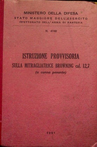 Istruzione provvisoria sulla