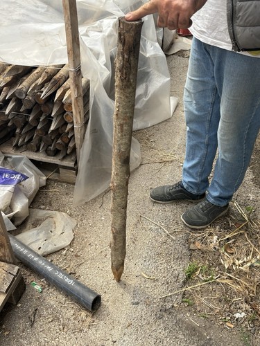 Paletti legno castagno - paletti, di