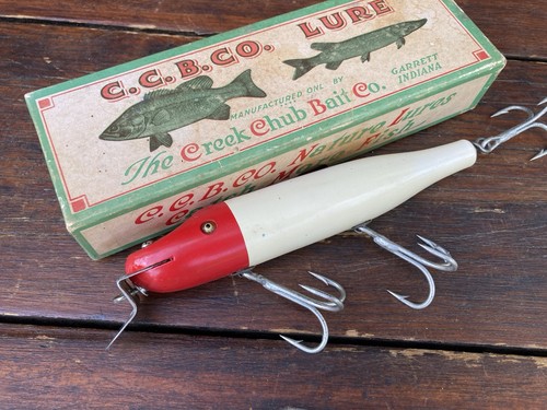Creek chub husky pikie - chub,