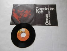 Capsicum red ocean she - red, a