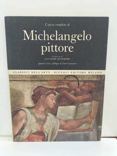 Michelangelo pittore - michelangelo,
