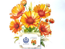 Sapone artigianale calendula - sapone,