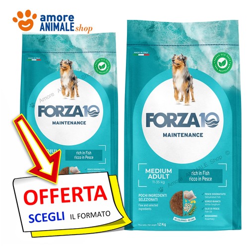 Forza10 dog maintenance - dog, →