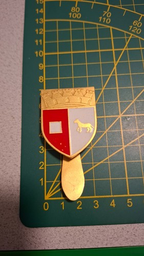 Pin spilla distintivo con - pin,