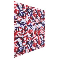 Fazzoletto americano sciarpa - ,