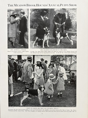 Meadow brook hunt - meadow, hounds