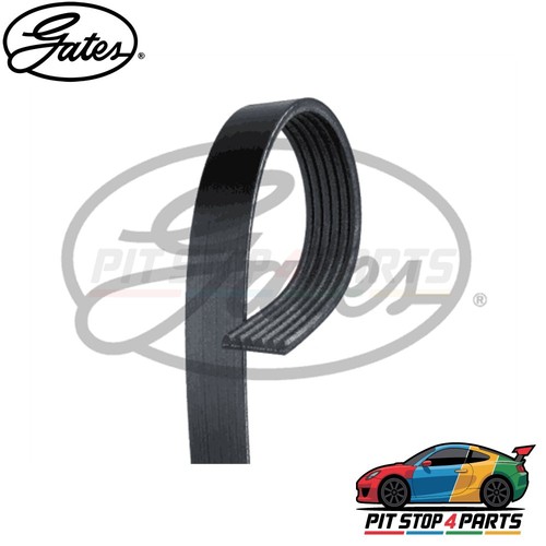 Per fiat punto - fiat, cinghie